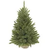 Image de Triumph Tree Sapin De Noël Artificiel Vert H90xl62xl62cm