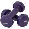 Image de Haltères vinyle 1kg violet, la paire