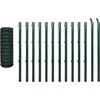 Image de vidaXL Clôture européenne acier 25 x 0,8 m vert