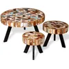 Image de vidaXL Ensemble de 3 tables basses en vieux bois massif