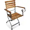 Image de vidaXL Chaises de jardin pliantes 2 pcs. acier et bois massif acacia