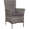Image de vidaXL Chaise de jardin et tabouret avec coussins Poly rotin gris