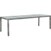 Image de vidaXL Ensemble de jardin 11 pièces avec coussins Poly-Rattan Gris