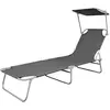 Image de vidaXL Chaise longue pliable avec protection solaire Acier gris