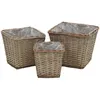 Image de Vidaxl Raised Bed 3 Pcs Wicker With Pe Lining