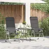 Image de vidaXL Chaise de camping, lot de 2, gris, 58 x 69 x 111 cm, aluminium