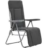 Image de Vidaxl - Chaises Pliables De Jardin Avec Coussins 2 Pcs Gris