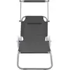 Image de vidaXL Chaise longue pliante avec protection solaire et roues Acier gris