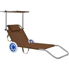 Image de Vidaxl Chaise Longue Pliable Avec Auvent Et Roues Acier Taupe