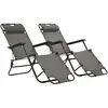 Image de Vidaxl - Chaises Longues Pliables 2 Pcs Avec Repose-pied Acier Gris