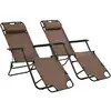 Image de Vidaxl Chaises Longues Pliables 2 Pcs Avec Repose-pied Acier Marron