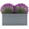 Image de Vidaxl - Lit Surélevé De Jardin Acier Galvanisé 100x40x45 Cm Gris