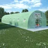 Image de Vidaxl - Serre 36 M² 1200x300x200 Cm