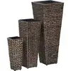 Image de Vidaxl Lits Surélevés 3 Pcs Jacinthe D'Eau Marron Foncé