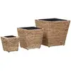 Image de Vidaxl - Lits Surélevés 3 Pcs Jacinthe D'Eau