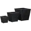 Image de Lits Surélevés 3 Pcs Jacinthe D'Eau Noir Vidaxl