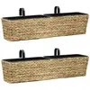 Image de Jardinières 2 Pcs Jacinthe D'Eau Vidaxl