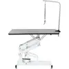 Image de vidaXL Table de tonte hydraulique pour animaux domestiques, chiens, chats