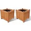 Image de Ensemble De 2 Lits Surélevés Bois 30x30x30 Cm Vidaxl