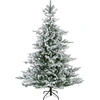 Image de Everlands Arbre de Noël artificiel Grandis Fir Blanc 180 cm