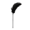 Image de Easytoys Fetish - Fouet à plumes noir