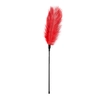 Image de Easytoys Fetish - Fouet à plumes rouge