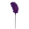Image de Easytoys Fetish - Fouet à plumes violet