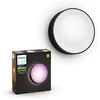 Image de White Et Color Ambiance Daylo, Applique Murale Extérieure, Noire, Fonctionne Avec Alexa, Google Assistant Et Apple Homekit - Philips Hue
