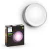 Image de White & Color Ambiance Daylo, Applique Murale Extérieure, Inox, Fonctionne Avec Alexa, Google Assistant Et Apple Homekit - Philips Hue