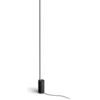 Image de Philips Hue Gradient Signe Lampadaire noir