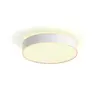 Image de Philips Hue White Ambiance Plafonnier Moyen Enrave