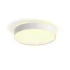 Image de Philips Hue White Ambiance Plafonnier De Grande Taille Enrave