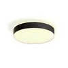 Image de Philips Hue White Ambiance Plafonnier De Grande Taille Enrave
