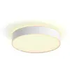 Image de Philips Hue White Ambiance Plafonnier Moyen Devere