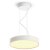 Image de Philips Hue White Amb. Enrave Suspension blanche 4500lm m DS