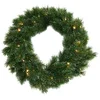 Image de Edelman Couronne de sapin Glendon 20 LED blanc chaud 45cm vert intérieur