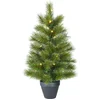 Image de Black Box Arbre de Noël artificiel Glendon LED - 51x51x90 cm - Aiguille dure - Vert