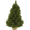 Image de Triumph Tree Camden Arbre de Noël artificiel dans un sac en jute - H60 x Ø43 cm - Vert