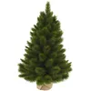 Image de Triumph Tree Sapin De Noël Artificiel Vert H60xl43xl43cm
