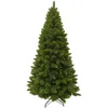Image de Triumph Tree Sapin De Noël Artificiel Vert H185xl94xl94cm