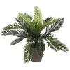 Image de Palmier Sago (cyca Revoluta) Pvc Avec Pot Gris 33x11.5cm