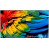 Image de Philips 43HFL6214U 109,2 cm (43 ) 4K Ultra HD Smart TV Wifi Anthracite 400 cd/m² Écran enroulable - Neuf