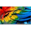 Image de PHILIPS Hotel TV 50HFL6214U/12 126,0cm(50") MediaSuite
