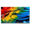Image de PHILIPS Hotel TV 58HFL6214U/12 146,0cm(58") MediaSuite (Speditionsversand)