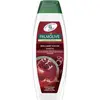 Image de Palmolive Brilliant Color Shampoo 350 ml