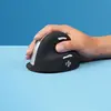 Image de R-GO Tools R-Go Tools Souris ergonomique R-Go HE Break avec logiciel de pause, grand (taille de la main 185 mm), droitier, Bluetooth, noir