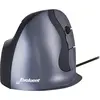 Image de Bakker Elkuizen BNEEVRDL BakkerElkhuizen Maus Evoluent D VerticalMouse large wired