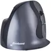 Image de BakkerElkhuizen Evoluent D Large Wireless - Neuf