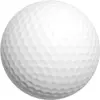 Image de Balles de golf Legend Bulk (x2) Blanc TU WS5000080