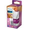 Image de LED E27 Normal 40W Givre Gradable WarmGl 470lm